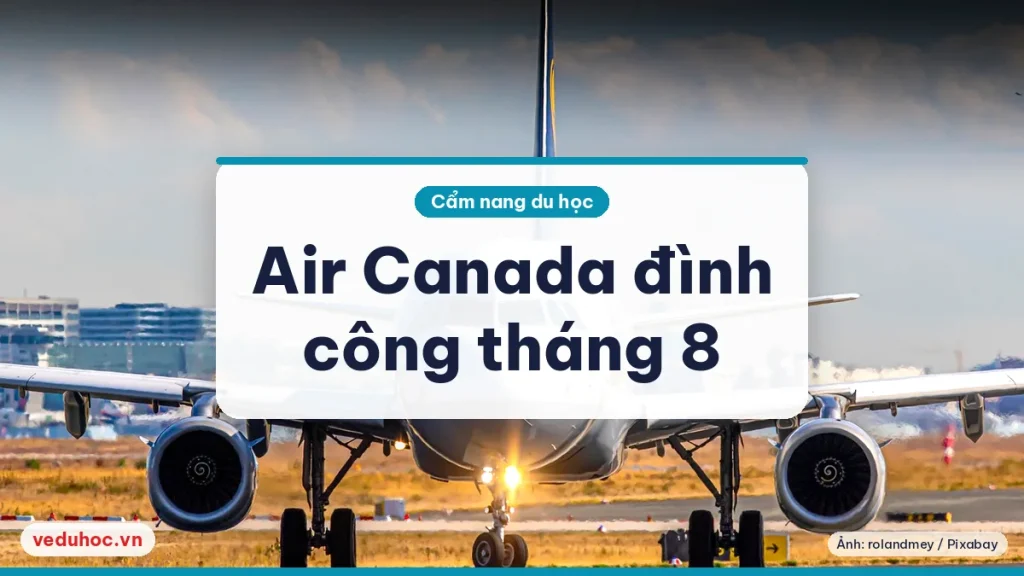 Máy bay chở khách nhìn thẳng từ phía trước trên đường băng sáng, minh hoạ lịch bay bị gián đoạn