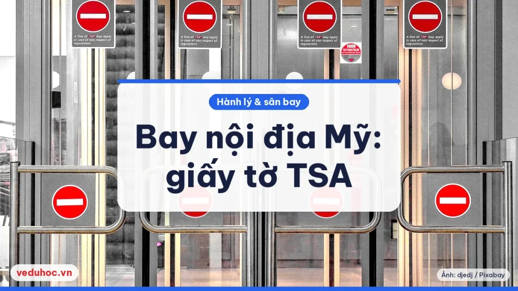 Ảnh minh hoạ chủ đề bay nội địa Mỹ REAL ID