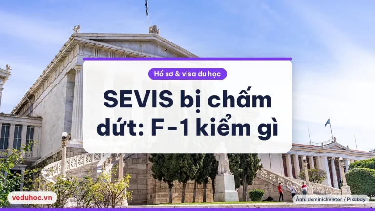 Hồ sơ SEVIS bị chấm dứt hồi 3-4/2025: SEVIS khác thu hồi visa ra sao