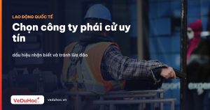 Chọn công ty phái cử uy tín: dấu hiệu nhận biết và tránh lừa đảo