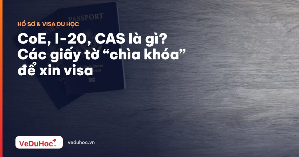 What are CoE, I-20, CAS? "Key" documents to apply for a visa