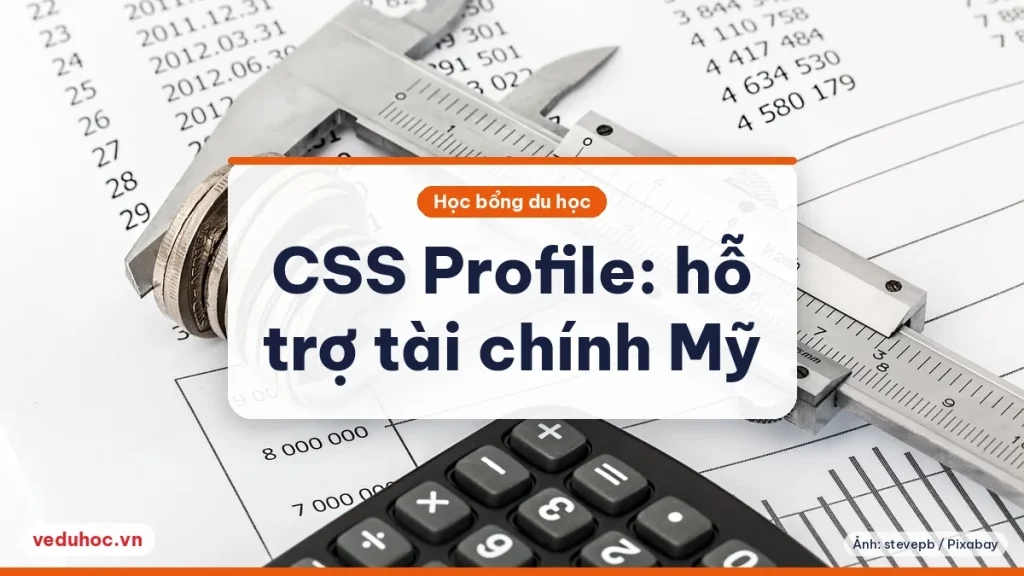 Ảnh minh hoạ chủ đề CSS Profile sinh viên quốc tế