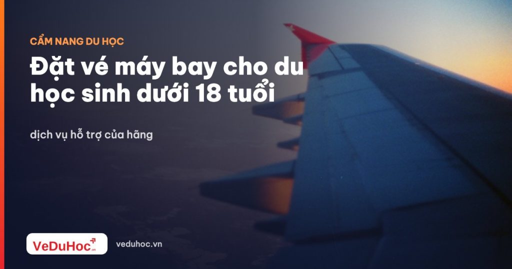 Booking air tickets for international students under 18 years old: airline support service