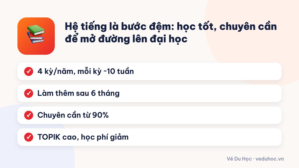 Hệ tiếng là bước đệm: học tốt, chuyên cần để mở đường lên đại học