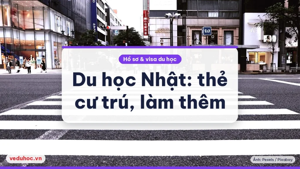 Phố Tokyo với vạch qua đường, minh hoạ du học Nhật Bản