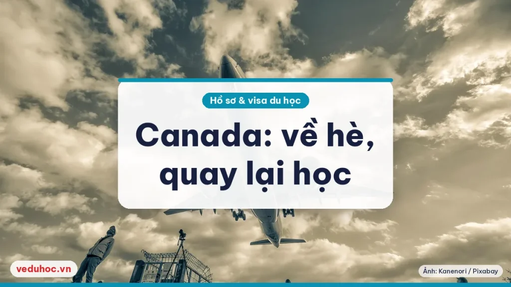 Máy bay bay giữa mây dày trên bầu trời, minh hoạ chuyến bay quay lại Canada