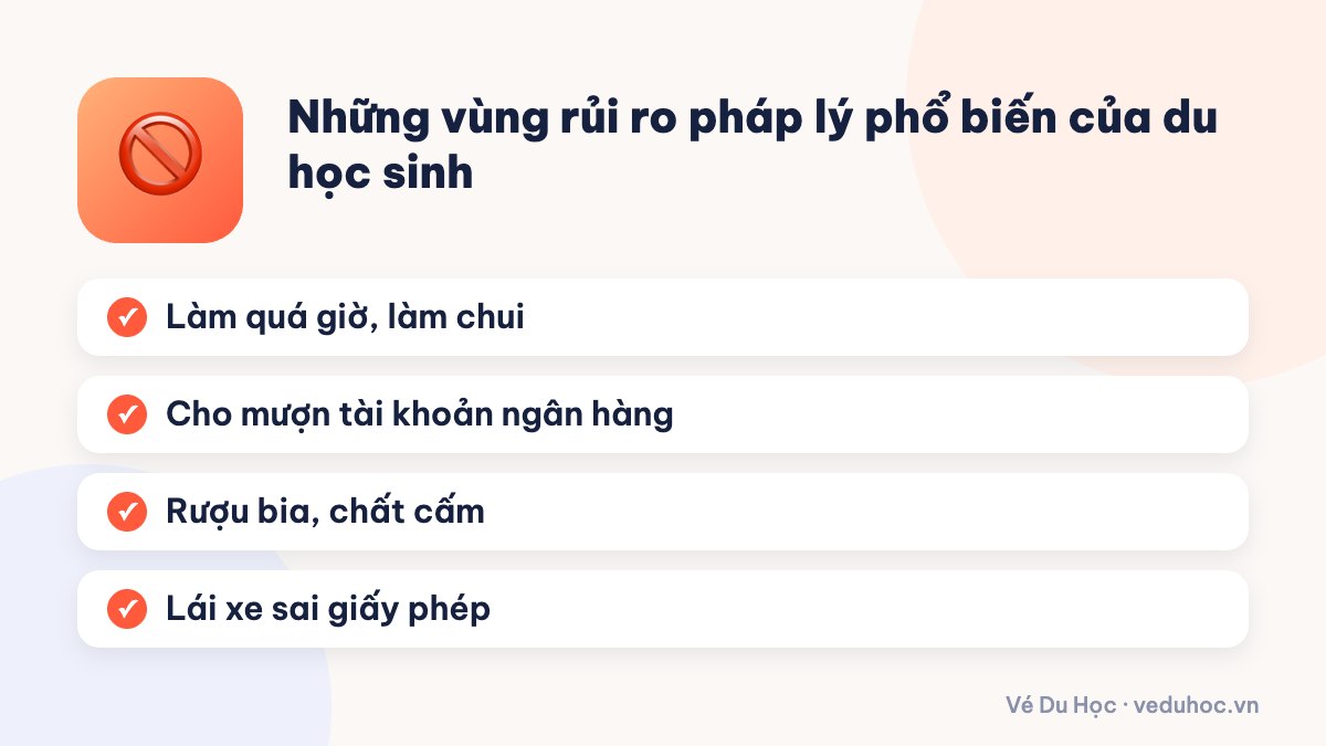 Những vùng rủi ro pháp lý phổ biến của du học sinh