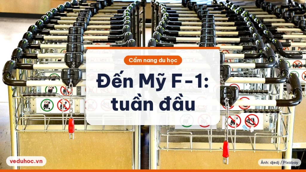 Hàng xe đẩy hành lý xếp gọn trong sảnh sân bay, minh hoạ ngày du học sinh F-1 đến Mỹ