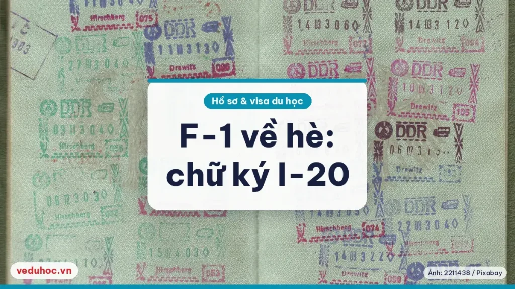 Trang hộ chiếu đóng nhiều dấu nhập cảnh, minh hoạ giấy tờ khi vào Mỹ