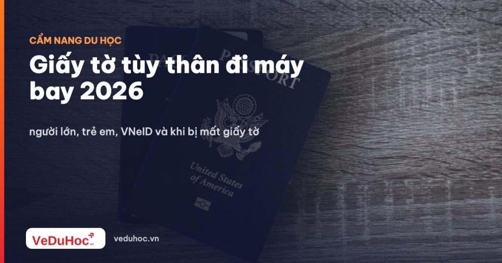 Identification documents for flying in 2026: adults, children, VNeID and when documents are lost