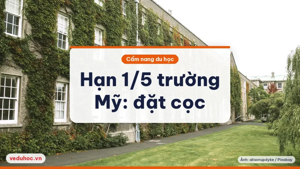 Ảnh minh hoạ chủ đề hạn 1/5 trường Mỹ đặt cọc nhập học