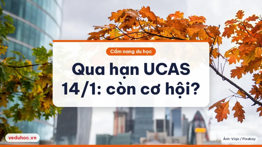 Ảnh minh hoạ chủ đề hạn UCAS 14/1 nộp muộn