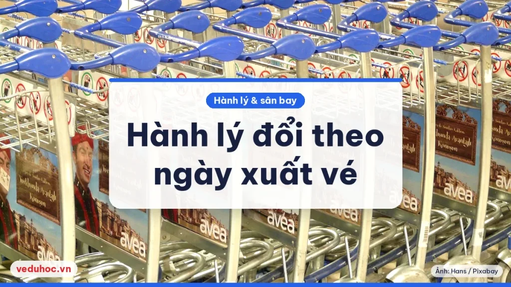 Ảnh minh hoạ chủ đề hãng bay đổi quy định hành lý 2026