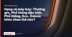 Hạng vé máy bay: Thương gia, Phổ thông đặc biệt, Phổ thông, Eco, Deluxe khác nhau thế nào?