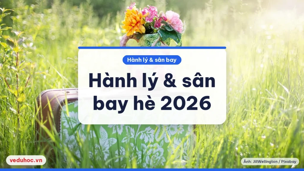 Ảnh minh hoạ chủ đề hành lý và sân bay hè 2026