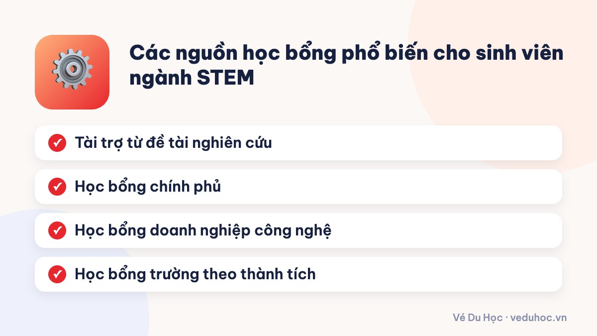 Các nguồn học bổng phổ biến cho sinh viên ngành STEM