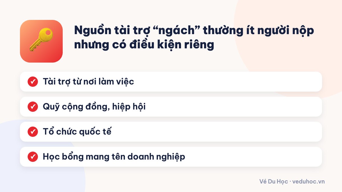 Nguồn tài trợ “ngách” thường ít người nộp nhưng có điều kiện riêng