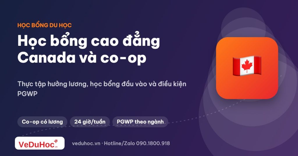 Học bổng du học Canada bậc cao đẳng: chương trình co-op và học bổng