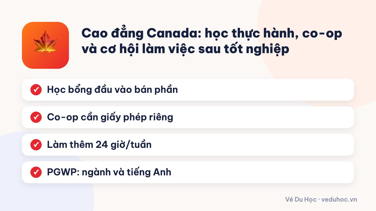 Cao đẳng Canada: học thực hành, co-op và cơ hội làm việc sau tốt nghiệp
