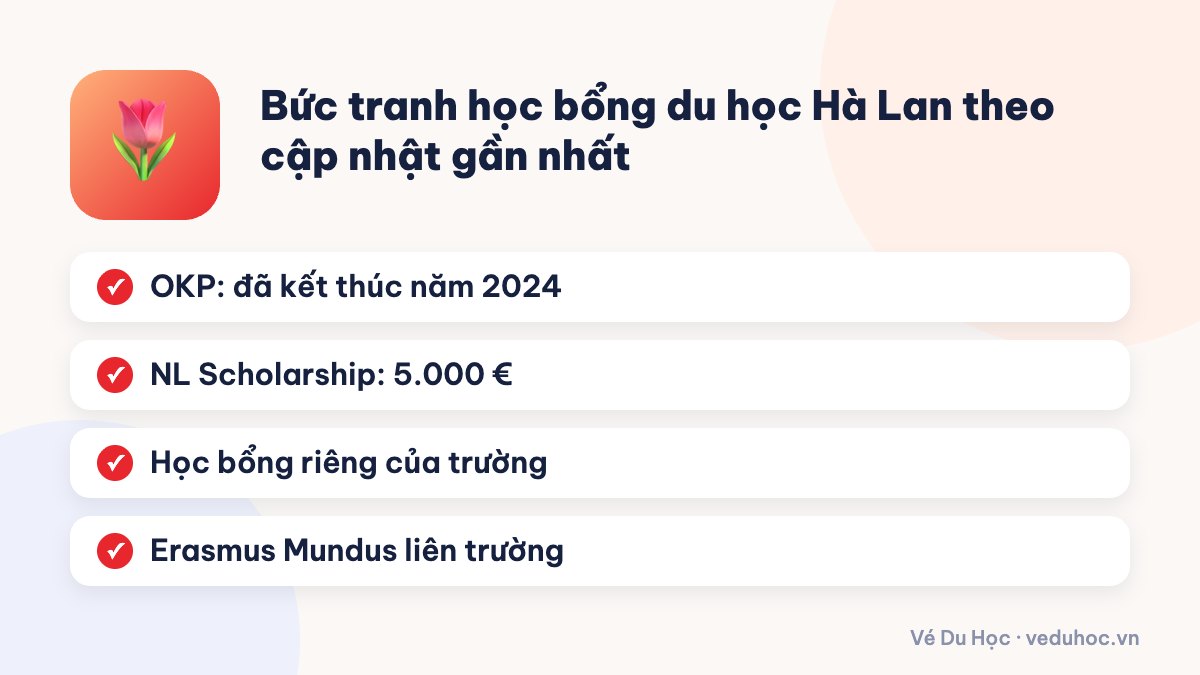 Bức tranh học bổng du học Hà Lan theo cập nhật gần nhất