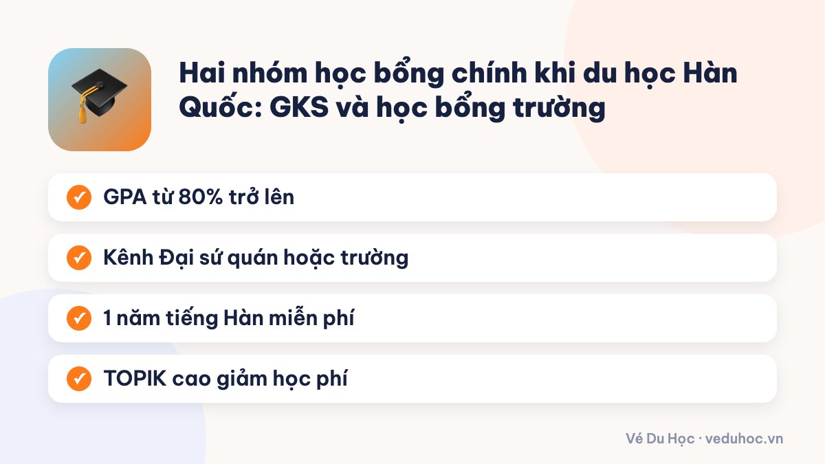 Hai nhóm học bổng chính khi du học Hàn Quốc: GKS và học bổng trường