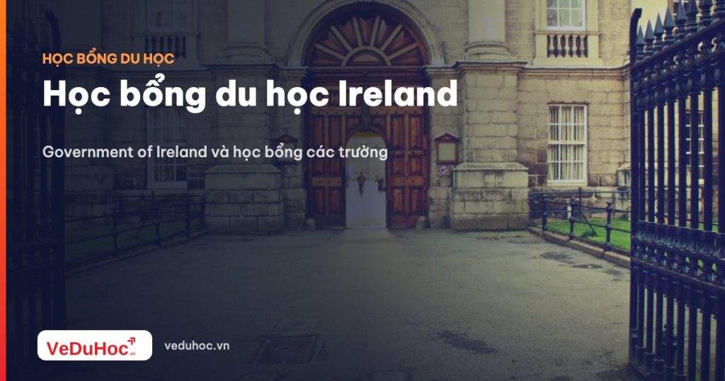 Scholarships to study abroad in Ireland: Government of Ireland and school scholarships