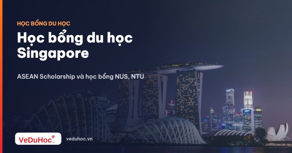Scholarships to study abroad in Singapore: ASEAN Scholarship and NUS, NTU scholarships