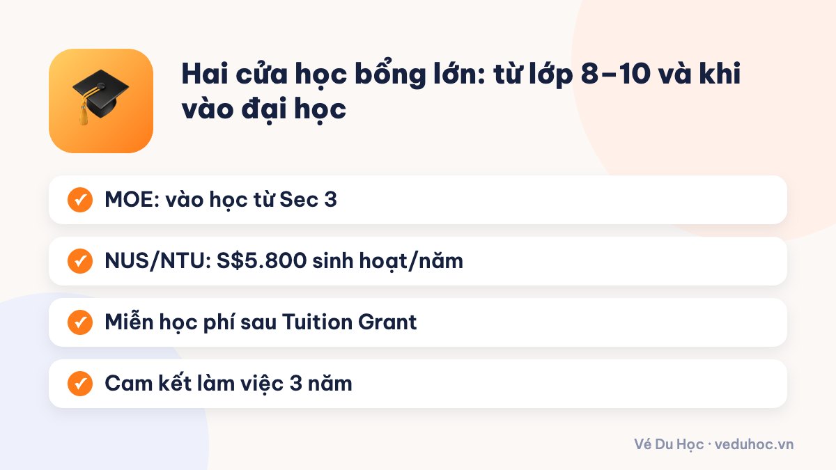 Hai cửa học bổng lớn: từ lớp 8–10 và khi vào đại học