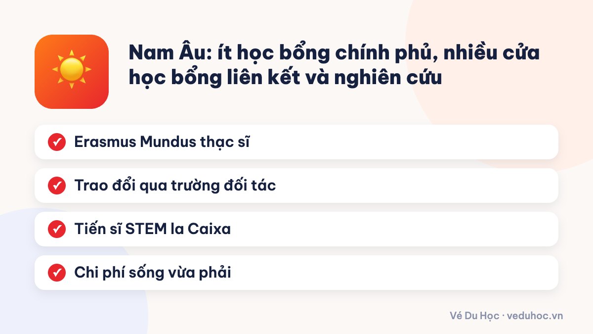 Nam Âu: ít học bổng chính phủ, nhiều cửa học bổng liên kết và nghiên cứu