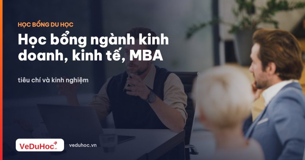 Business, economics, MBA scholarships: criteria and experience
