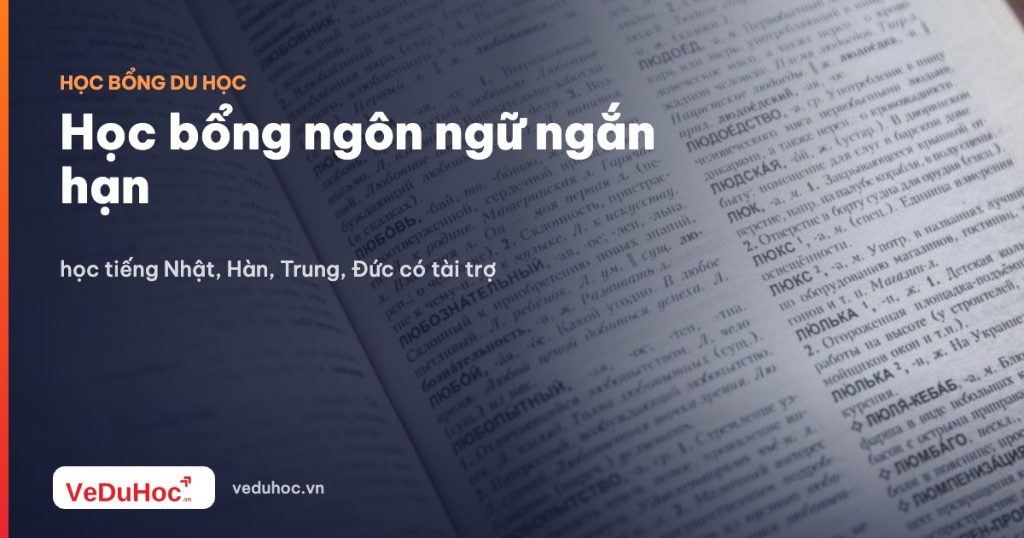 Short-term language scholarships: study Japanese, Korean, Chinese, and German with sponsorship