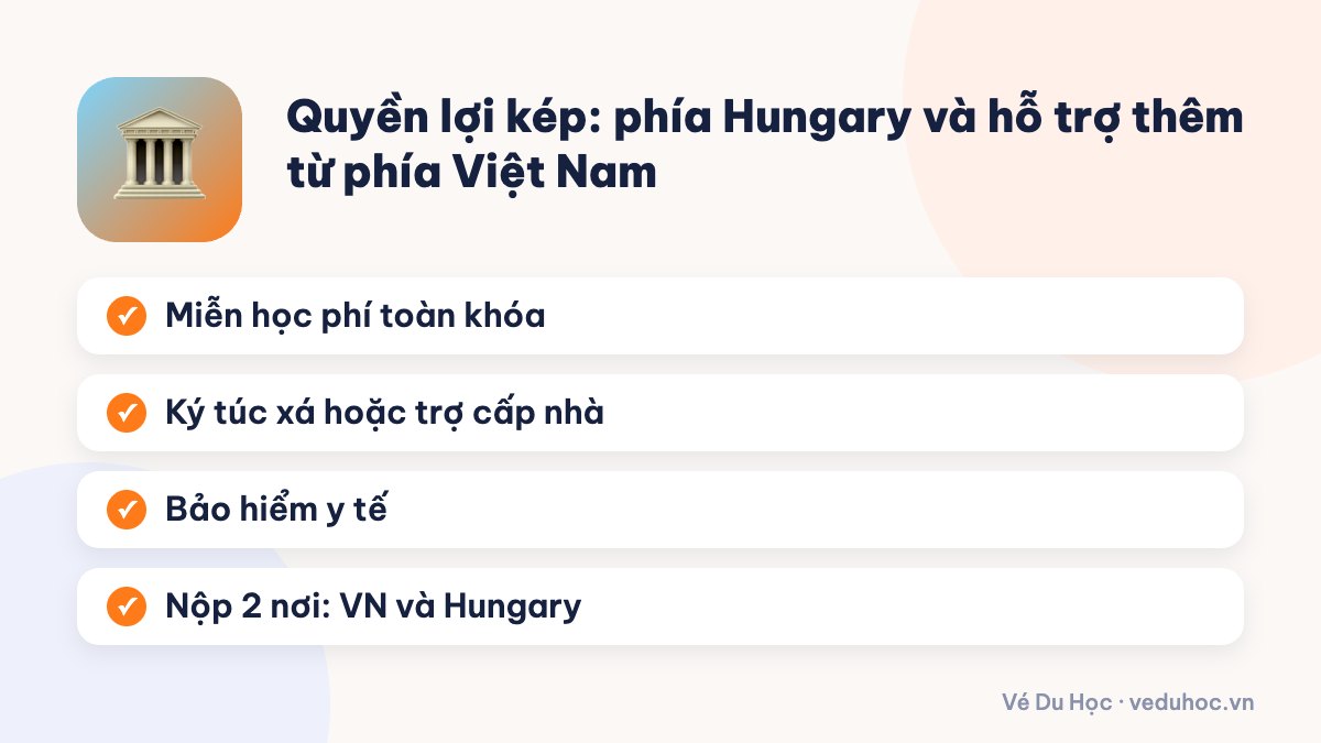 Quyền lợi kép: phía Hungary và hỗ trợ thêm từ phía Việt Nam