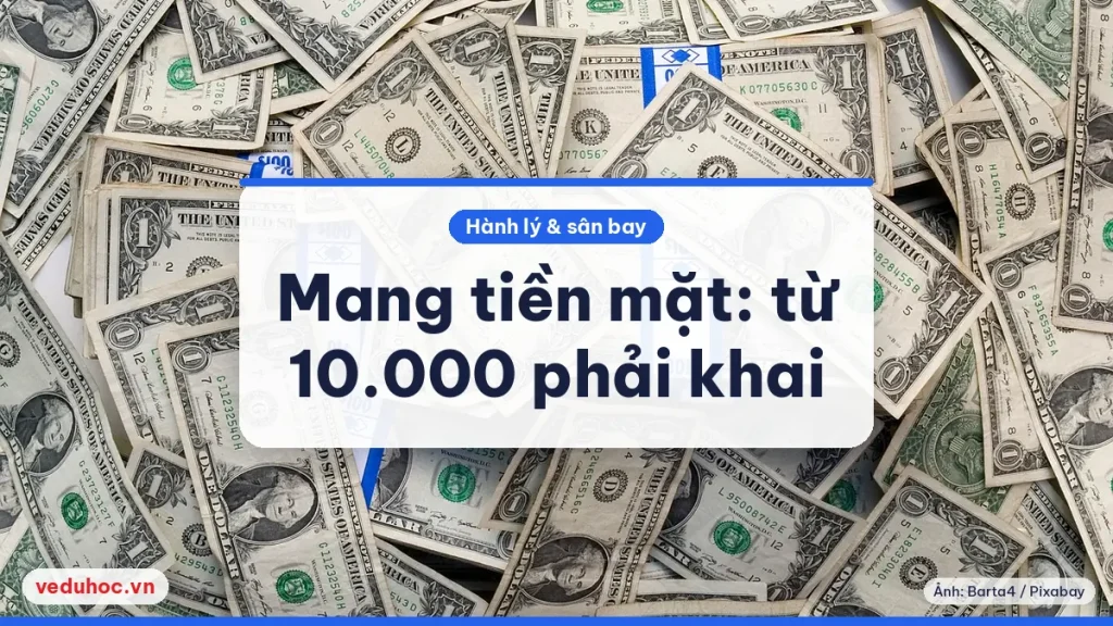 Nhiều tờ tiền đô la Mỹ xếp chồng lên nhau, minh hoạ khai báo tiền mặt khi nhập cảnh