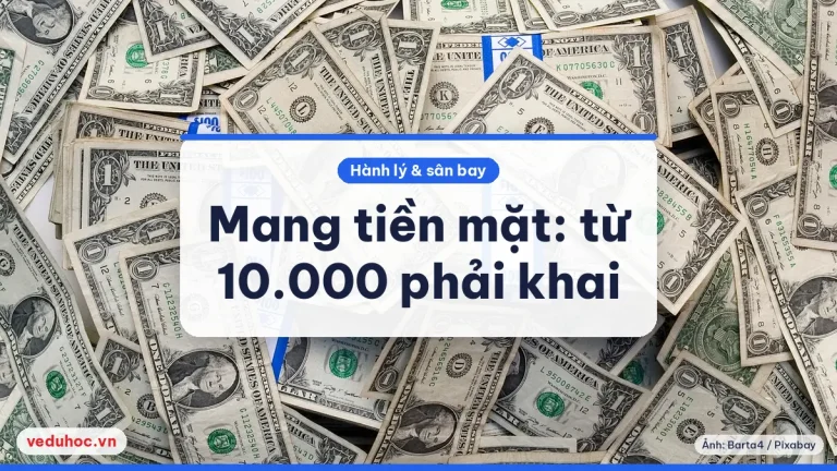 Mang tiền mặt nhập cảnh Mỹ, Úc, Canada: ngưỡng 10.000 phải khai báo