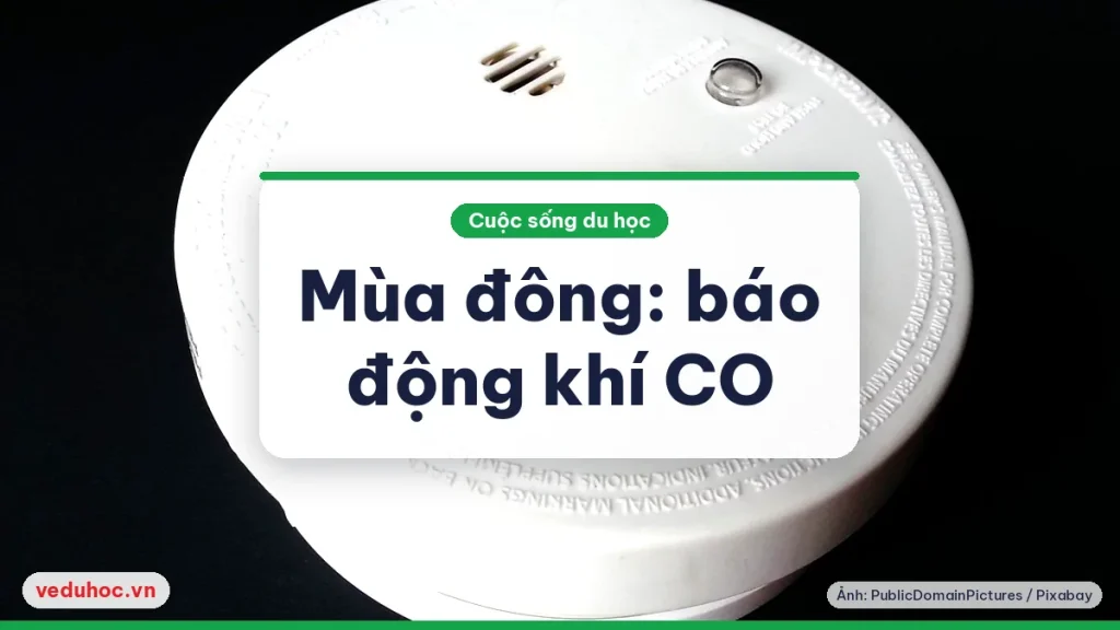 Thiết bị báo động khói và khí CO màu trắng tròn đặt trên nền đen, minh họa an toàn trong nhà thuê