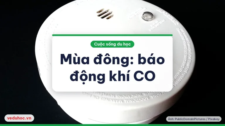 Mùa đông và khí CO: báo động CO, lò sưởi và nhà thuê ở Mỹ, Canada, Anh