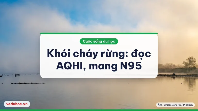 Khói cháy rừng Canada 6/2025: đọc AQHI và dùng N95 đúng cách