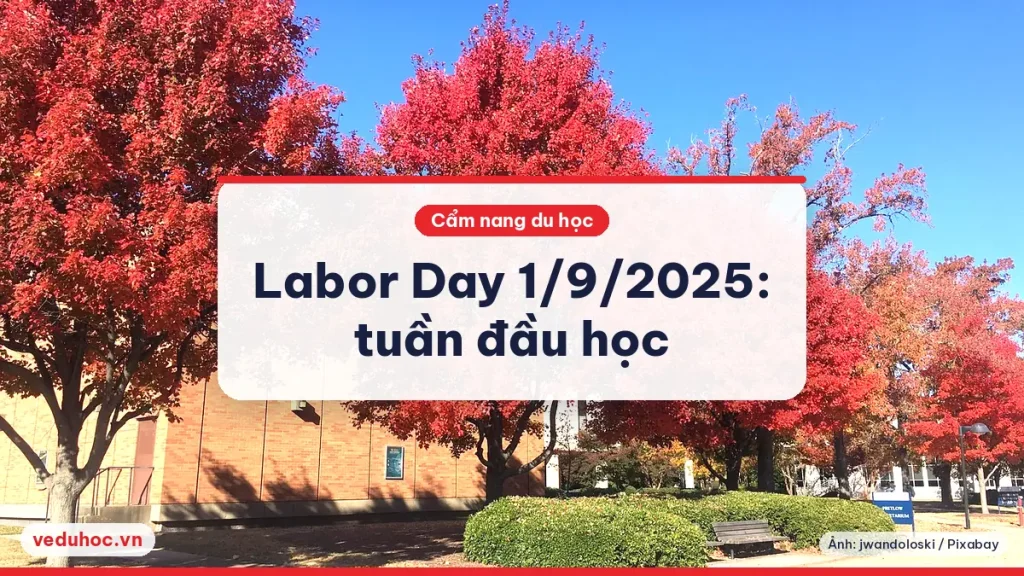 Hàng cây lá đỏ rực bên toà nhà gạch trong khuôn viên trường dưới trời xanh đầu thu