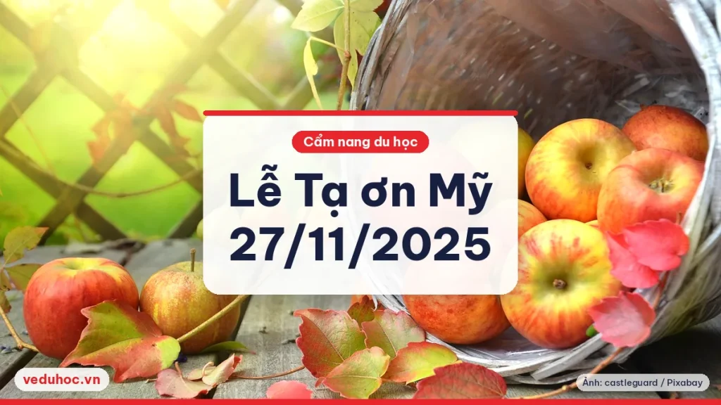 Giỏ mây nghiêng với táo đỏ trên bàn gỗ ngoài vườn, hình ảnh mùa thu hoạch dịp Lễ Tạ ơn