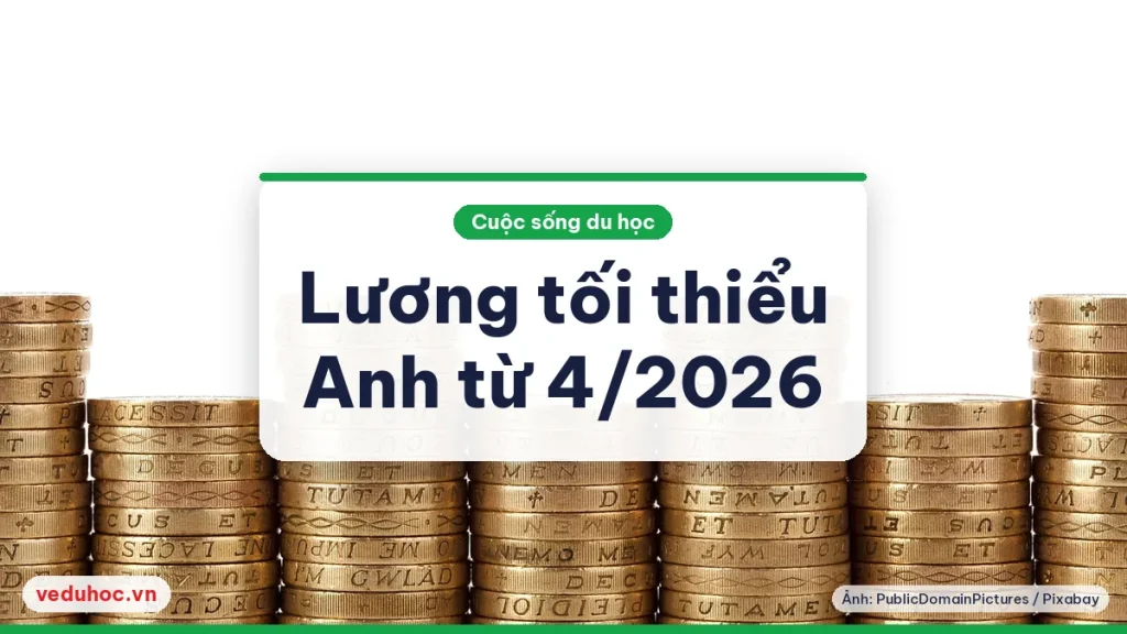 Những chồng đồng xu bảng Anh xếp cạnh nhau trên nền trắng, minh họa mức lương theo giờ ở Anh