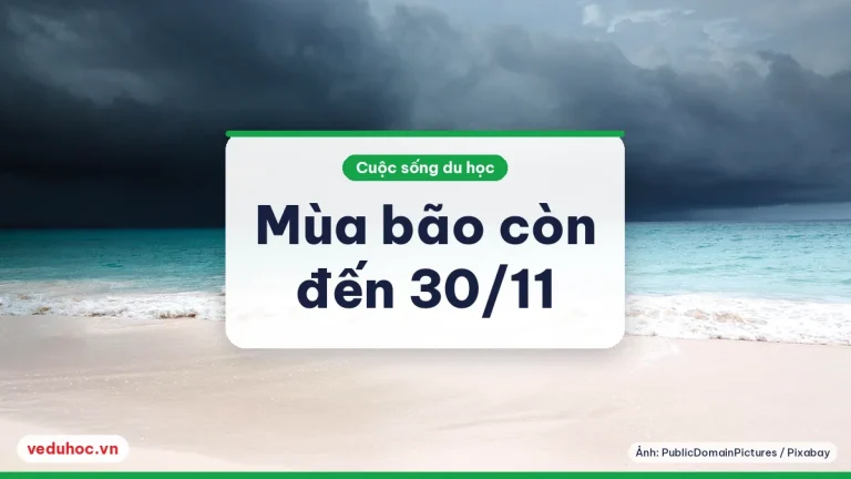 Mùa bão 2025 sau đỉnh 10/9: du học sinh ở Mỹ cần chuẩn bị gì