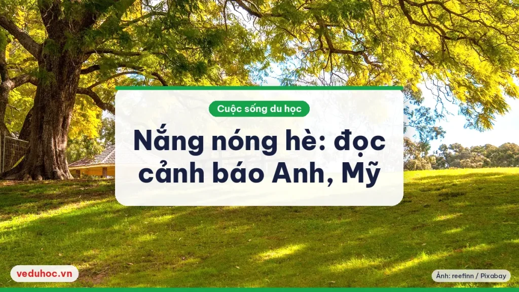 Công viên nắng với tán cây lớn, bãi cỏ xanh và ghế dã ngoại, gợi ngày hè nóng ở Anh và Mỹ