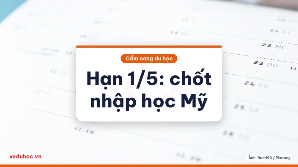 Trang lịch sáng màu với một ngày được khoanh tròn đỏ, minh hoạ mốc hạn trả lời nhập học đại học Mỹ