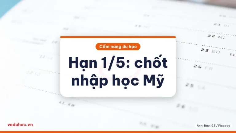 Hạn 1/5/2025 của trường Mỹ: đọc thư tài trợ, không cọc hai trường