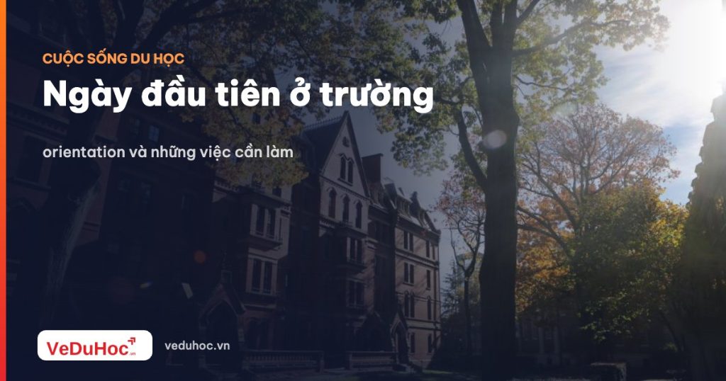 First day at school: orientation and things to do
