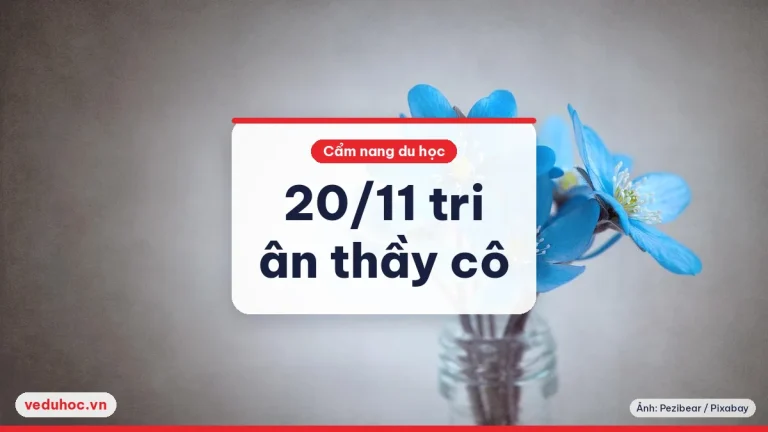 Ngày Nhà giáo Việt Nam 20/11/2025 (thứ Năm): lời cảm ơn gửi thầy cô