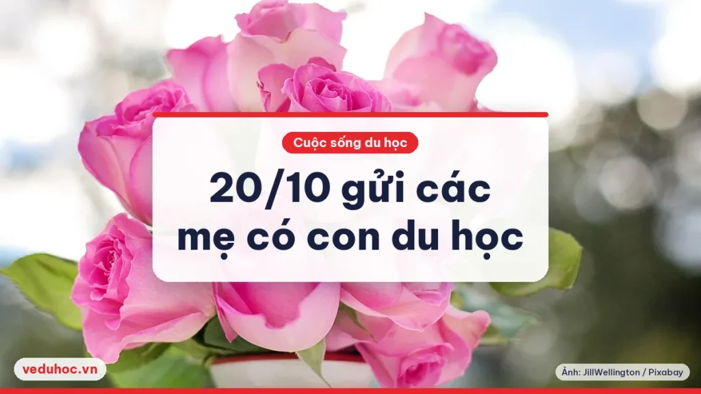 20/10/2026 Ngày Phụ nữ Việt Nam: gửi các mẹ có con du học