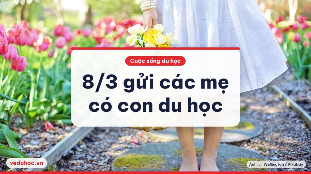 Ảnh minh hoạ chủ đề Ngày Quốc tế Phụ nữ 8/3