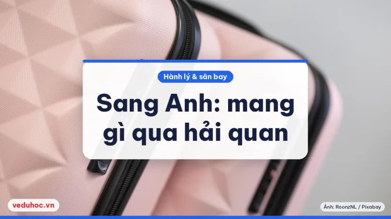 Nhập cảnh Anh: đồ ăn có thịt, sữa, thuốc và hàng cấm theo GOV.UK