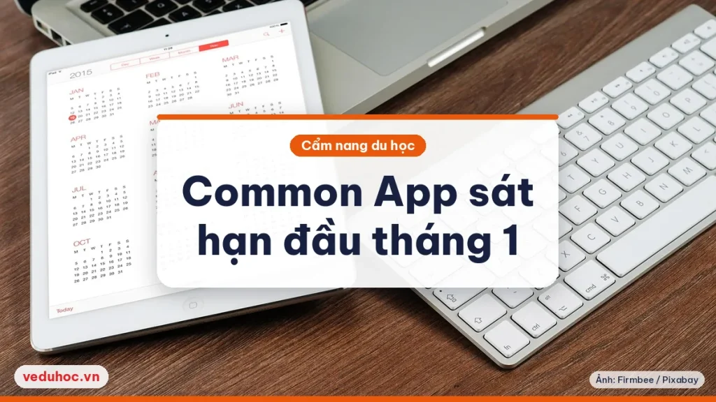 Ảnh minh hoạ chủ đề nộp Common App sát hạn